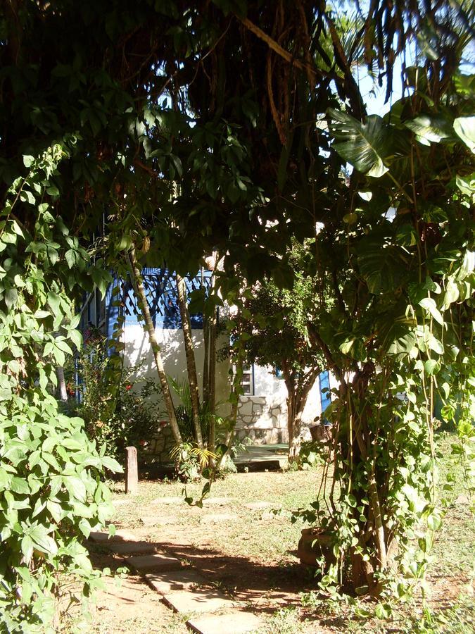 Hotel Fazenda Barra Alegre Sao Jose do Goiabal Экстерьер фото