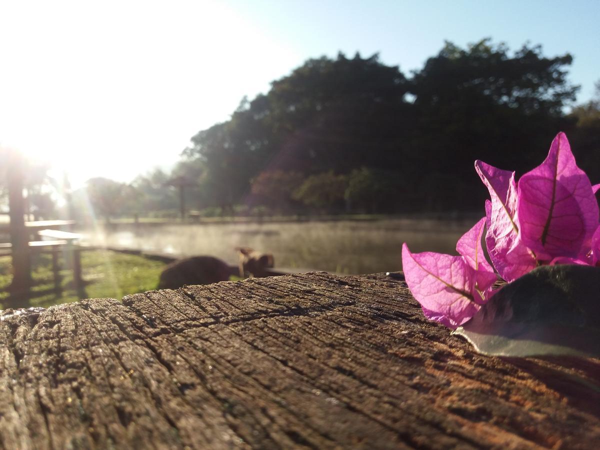 Hotel Fazenda Barra Alegre Sao Jose do Goiabal Экстерьер фото